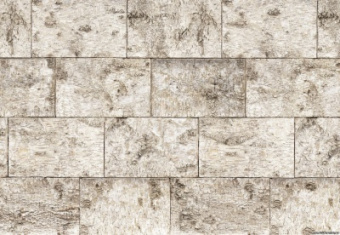 Фотообои KOMAR 368*254 8/Bjork 8-740